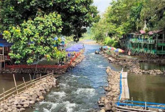 Keindahan Alam Sungai Kasie di Lubuklinggau : Surga Wisata Air Favorit di Sumatera Selatan !