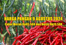 Harga Pangan 9 Agustus 2024 : Cabai Makin Pedas Rp65.560 dan Beras Rp13.560 per Kilogram !