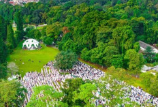 Ragam Wisata di Bogor, Surga Tersembunyi Dekat Jakarta yang Tak Pernah Kehilangan Pesona