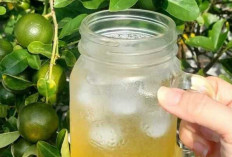 Es Jeruk Kunci, Minuman Segar Khas Nusantara yang Kaya Manfaat dan Mulai Dilirik Generasi Muda