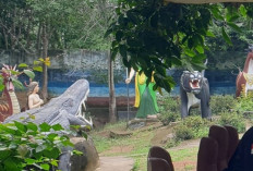 Pemprov Sumsel Targetkan Setiap Desa Miliki Sekolah PAUD untuk Pemerataan Pendidikan