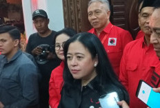 Puan Sebut Pilkada Jateng Bukan ‘Perang Bintang’