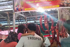 Harga Daging Sapi di OKU Masih Relatif Normal