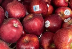 Buah-Buahan Penurun Berat Badan, Pilihan Alami untuk Pola Hidup Sehat