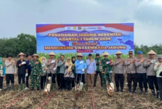 Polres OKI Lakukan Penanaman Jagung Serentak Kuartal I 2026