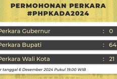 8 Gugatan Masuk ke MK dari Sumatera Selatan : Daerah Mana Saja ? Berikut Daftar Lengkapnya