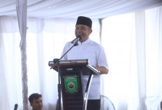 Jembatan Rantau Bayur & Tanah Kering Segera Dibangun! Respon Herman Deru Buat Warga Senang