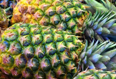 Jaga Kesehatan Tulang dan Sendi dengan Air Rebusan Kulit Nanas 