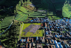 Dari Dataran Tinggi Dieng, Kisah Kurban dan Toleransi di Desa Batur