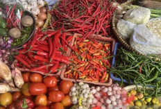  Harga Pangan 21 Oktober 2024 : Mengalami Kenaikan, Bawang Merah Sentuh Rp29.640 per Kilogram !