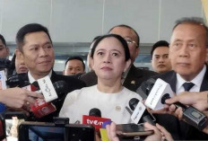 Dorong Pemerintah Atasi Lonjakan PHK 