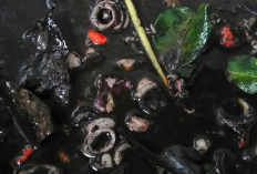 Cumi Hitam: Hidangan Laut Kaya Gizi dan Rasa Autentik Nusantara