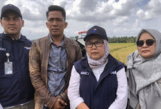 Antisipasi Panen 2026, Bulog Siap Tambah Gudang Gabah di Lalan