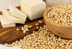 Mengenal Lebih Dekat Kacang Kedelai: Manfaat, Varietas dan Peran dalam Pangan Sehari-hari