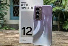 OPPO Reno12 Series Resmi Dibanderol Rp6,9 Jutaan : Lihat Harga, Spesifikasi, dan Fitur Unggulannya !