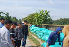 Bulog Serap 16.169 Ton Gabah Petani OKU Timur