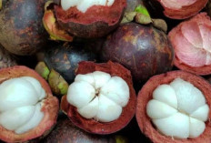 Kulit Tetap Halus dan Elastis dengan Buah Manggis