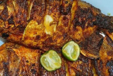 Ragam Jenis Ikan yang Cocok Dijadikan Ikan Bakar Favorit di Indonesia
