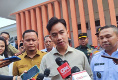 Wapres Gibran Siap Berkantor di IKN atau Papua, Menunggu Instruksi Presiden Prabowo