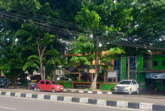 Pemkot Palembang Siapkan 40 Puskesmas untuk Jalankan PKG