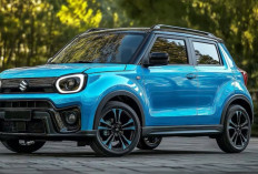 Ngebut tapi Irit: Top Speed Suzuki Ignis 2025 Tembus 165 Km/Jam dengan Konsumsi BBM 20 Km/Liter !