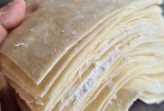 Kulit Pangsit : Bahan Dasar Serbaguna dalam Dunia Kuliner