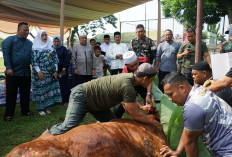 Peduli Masyarakat di Hari Raya Idul Adha 1446 H : Kodim 0402/OKI Sembelih 13 Hewan Kurban