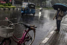 Prakiraan Cuaca BMKG Jumat 7 Juni 2024 :  Mayoritas Indonesia Berawan hingga Hujan !