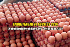 Harga Pangan 20 Agustus 2024 : Cabai Rawit Merah Rp60.990 per Kg dan Telur Rp29.420 per Kg !