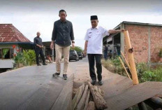 Wabup Ardani Tinjau Jembatan Rusak, Masjid dan Rumah Roboh di Pemulutan Selatan
