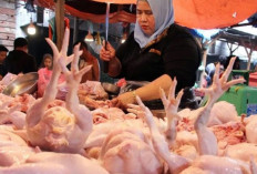 Harga Pangan 5 Mei 2025 : Daging Ayam Rp33.285, Cabai Rawit Merah Rp61.687 per Kilogram !