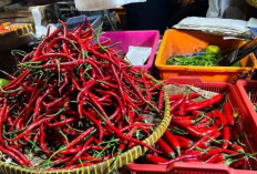 Update Harga Pangan 2 Mei 2026: Cabai Rawit Merah Tembus Rp60 Ribu, Telur Ayam Rp31 Ribu per Kilogram