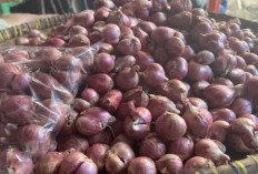 Harga Pangan 19 Oktober 2024 : Bawang Merah Sentuh Rp29.520 per Kilogram !