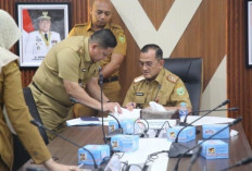 Pemprov Sumsel Siapkan Strategi Pembebasan Lahan untuk Pembangunan Pelabuhan Tanjung Carat di Banyuasin