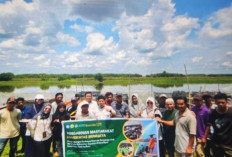 Unsri Kembangkan Budi Daya Sayuran Terapung di Desa Burai, Ogan Ilir