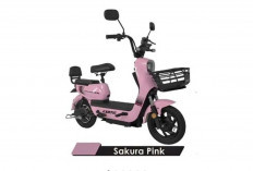 Mengenal Sepeda Listrik Exotic: Desain Keren, Performa Tangguh, Harga Bersahabat