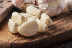 Obati Tukak Lambung dan Penyakit Kulit dengan Bawang Putih Mentah
