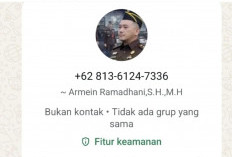 Hati-hati! Jelang Lebaran  Nama Kasi Intel Kejari Lubuklinggau Dicatut, Pelaku Gunakan Foto Armein Dikontak WA