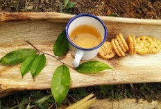 Tingkatkan Stamina dan Energi dengan Teh Daun Gaharu