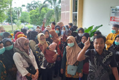 PHL Prabumulih Terancam Dirumahkan Setelah Gagal PPPK, Ratusan Honorer R2 dan R3 Hadapi Ketidakpastian Nasib