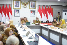 Sekda Sumsel Ikuti Asistensi SAKIP dan Tekankan Penguatan Reformasi Birokrasi