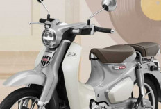Honda Super Cub C125 2026 Resmi Meluncur, Kini Lebih Elegan dengan ABS dan Warna Premium