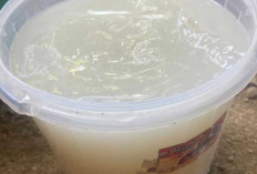 Jangan Dibuang, Ini Beragam Manfaat Air Cucian Beras untuk Kecantikan, Kesehatan dan Tanaman