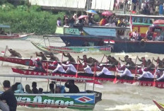 Festival Perahu Bidar, Wako Minta Tertibkan Alur Sungai