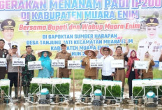 Pemkab Muara Enim Luncurkan Program Pupuk Murah dan Tanam Padi IP200 