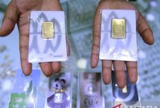 Update ! Harga Emas Antam 13 Oktober 2024 : Masih Stabil di Angka Rp1,495 Juta per Gram 