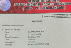 Mengungkap Dukungan Politik PDI Perjuangan untuk Ratu Dewa di Pilkada Palembang 2024 !