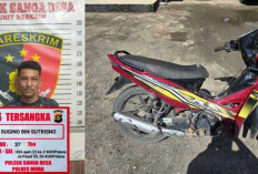 Pelaku Kunci Perampokan Rp400 Juta di Sanga Desa Ditangkap : Peran Sugino Terbongkar !