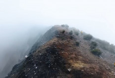 Menaklukkan Atap Sumatera Selatan :  Surga Pendakian dengan Keindahan Kawah Berwarna !