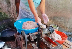 Jelang Idul Adha, Harga Ikan Gabus Giling di OKU Tembus Rp90 Ribu Perkg